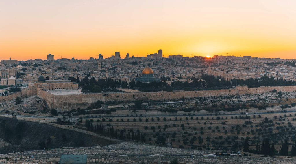 מי הוא מאיר דוידי? היכרות עם פעילותו בתחום הנדל"ן