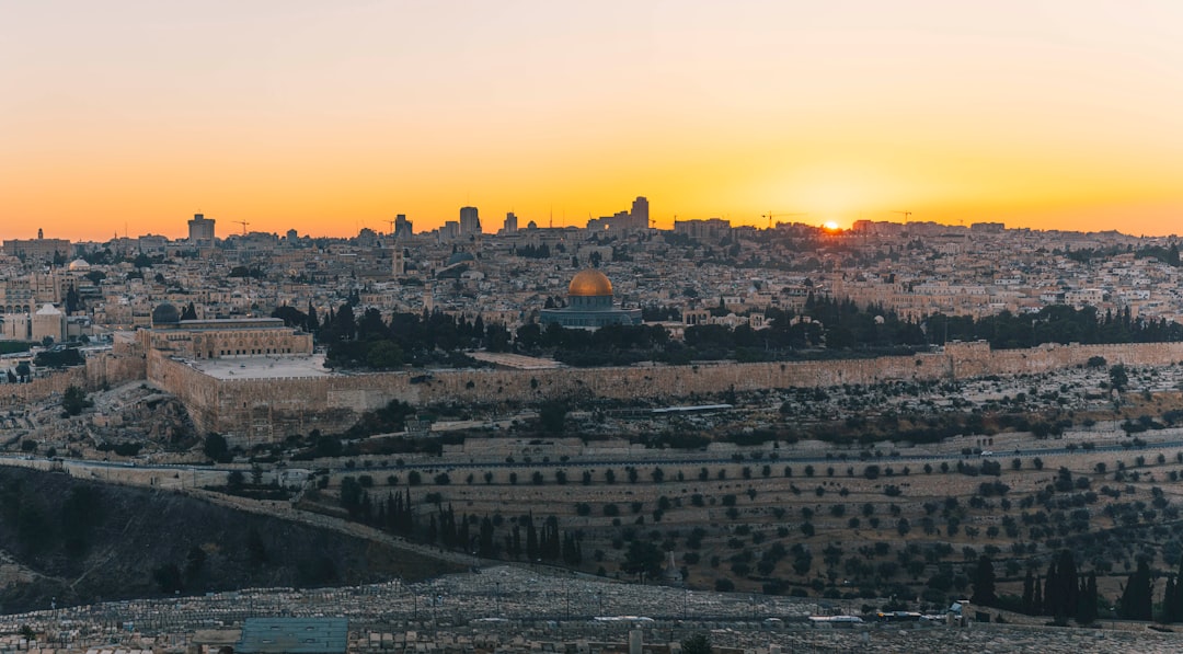 מי הוא מאיר דוידי? היכרות עם פעילותו בתחום הנדל"ן